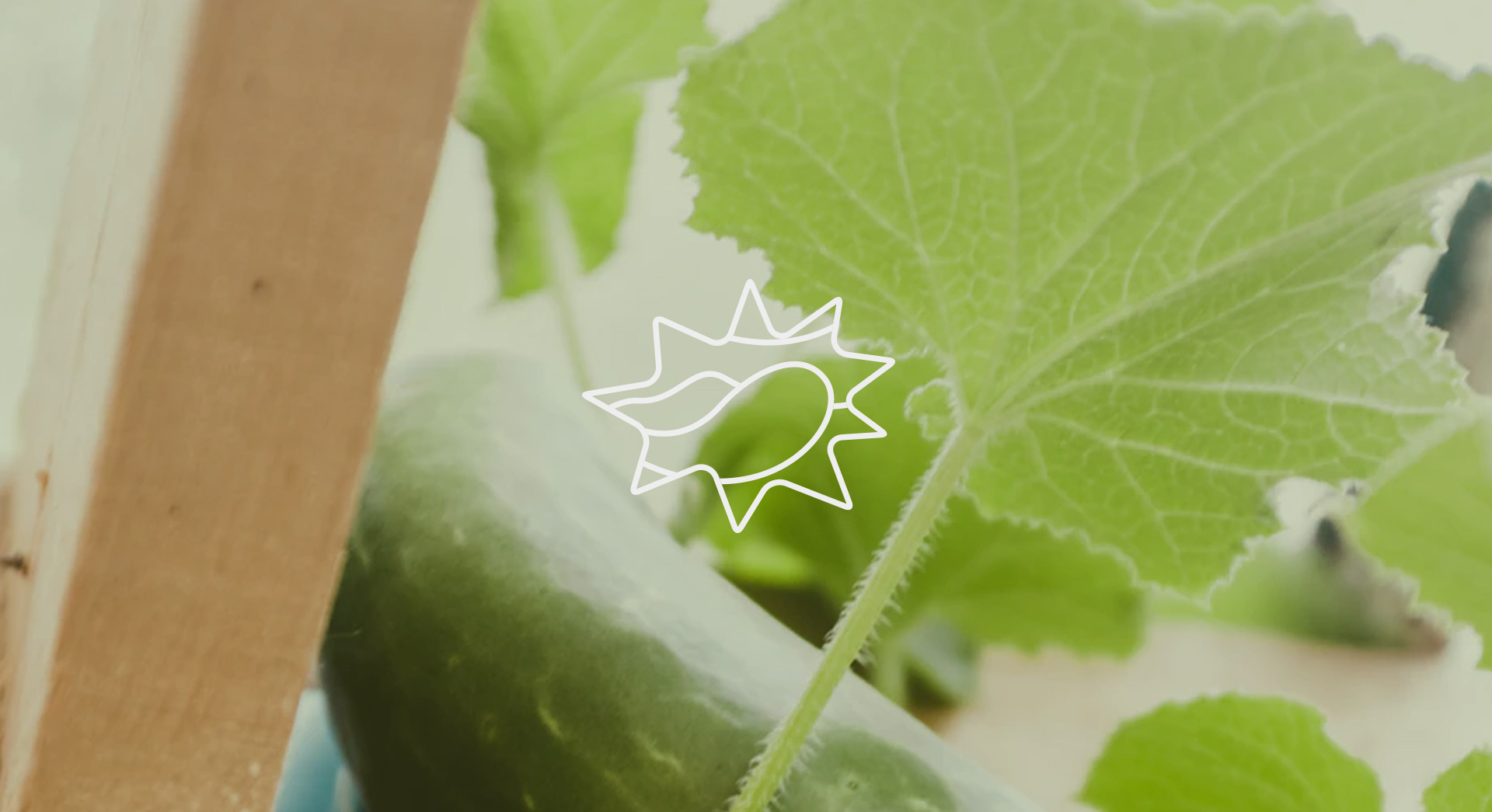 群智咨询：高性能小平板市场崛起 预计2025年全球出货量达460万台